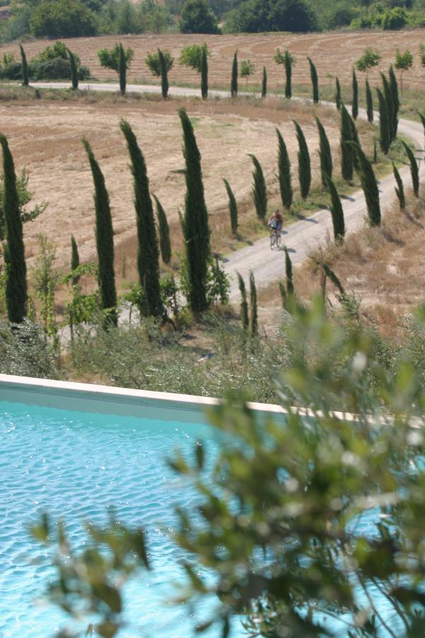 Chianti Holiday Homes 波吉邦西 外观 照片